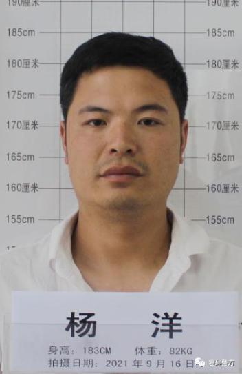 警方通告！多人被抓，征集线索