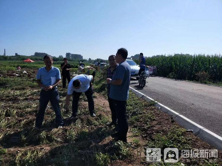 中国人保财险莱西支公司：情系三农解民忧 心牵百姓办实事