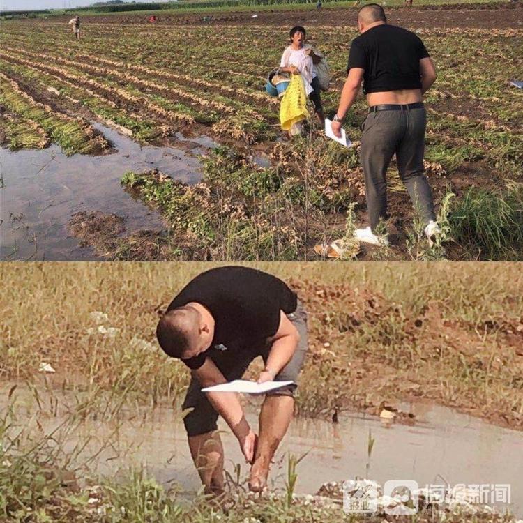 中国人保财险莱西支公司：情系三农解民忧 心牵百姓办实事