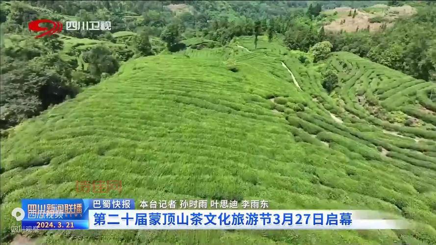 蒙顶山茶文化旅游节什么时候？具体时间别错过！