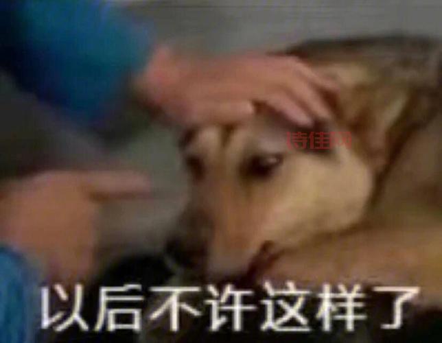 青青草是真的吗？揭秘那些你不知道的背后真相！