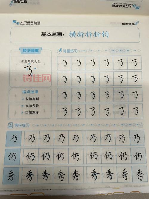 已的结构