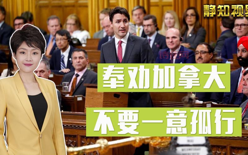 赵立坚:欢迎孟晚舟回家！网友纷纷点赞支持！