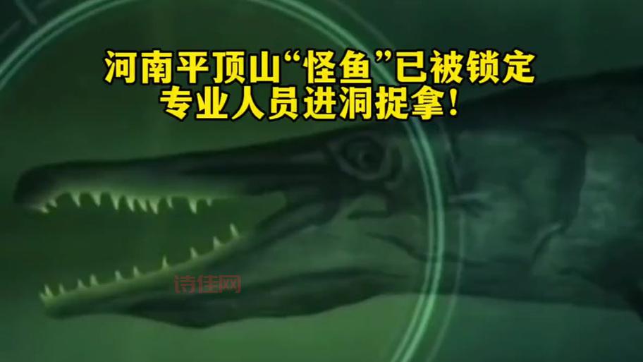 河南平顶山怪鱼抓住了吗？后续情况如何了？