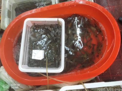 菜场买的活虾到家被热熟了，怎么才能保鲜呢？