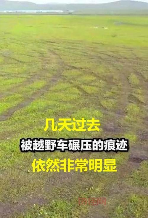 越野车碾压草原