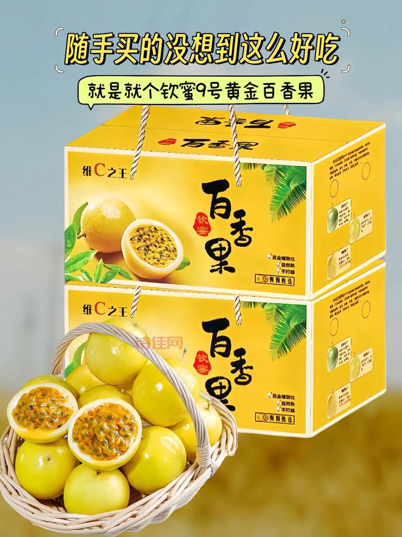 黄金九号抗病性怎么样？这个品种有话说！