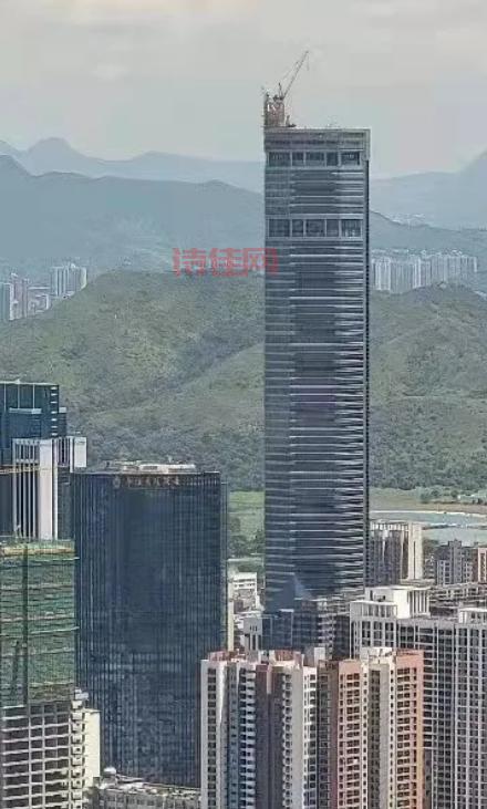 赛格大厦结构性能满足要求