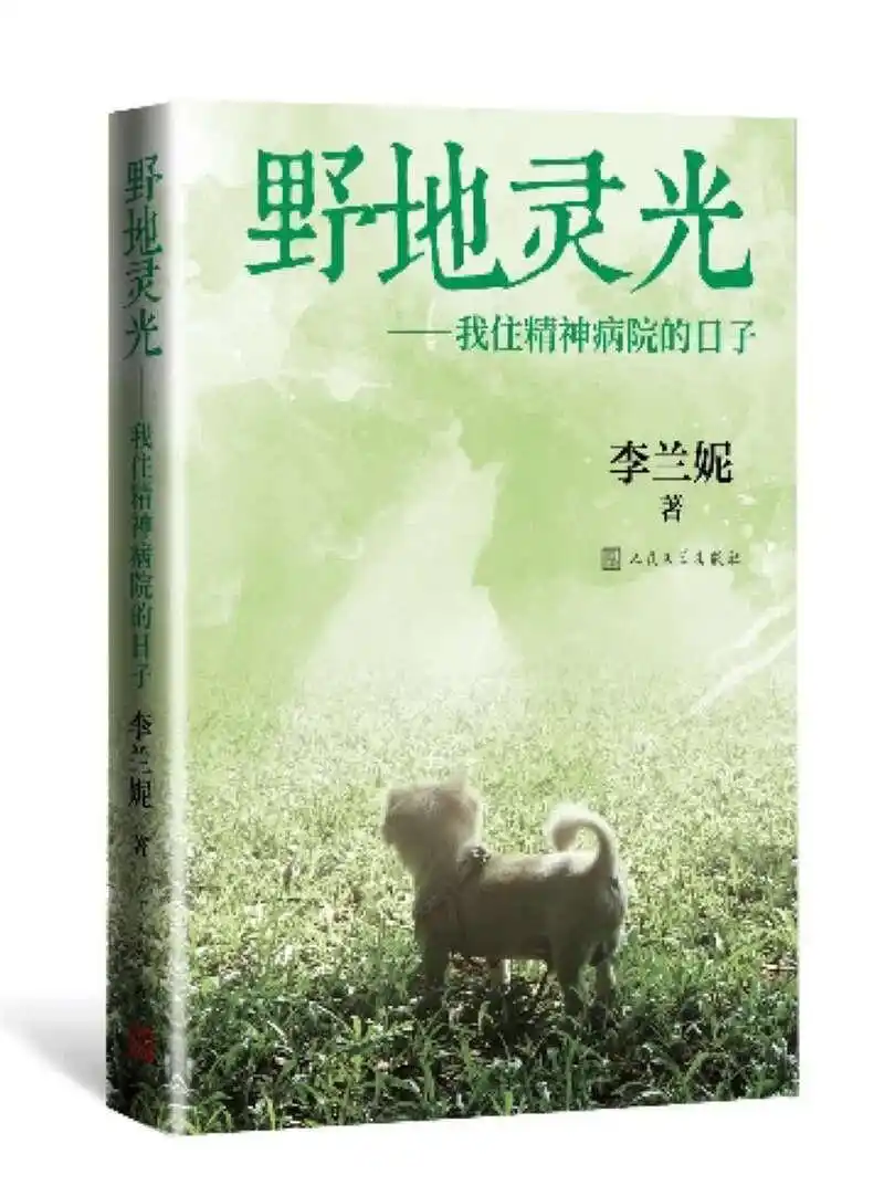 展望2021｜华语文学有哪些好作品值得期待