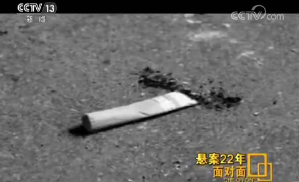 作案22年后落网 浙江劫杀案“作家嫌犯”接受央视专访：曾想把经历写成书