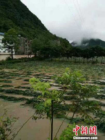 湖北五峰发生暴雨洪灾  2万余人受灾（组图）