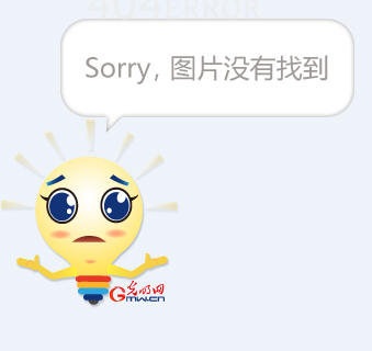 北京西城区召开《推进法治政府建设率先突破两年行动计划（2024-2025年）》新闻发布会