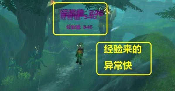 魔兽世界：玩小号最新刷级技巧，20分升一级，全程当傀儡