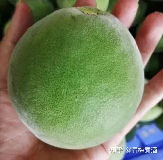 化州橘红的功效与作用