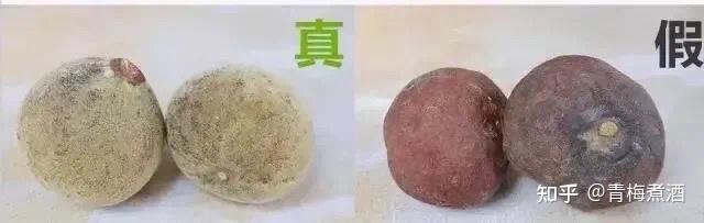 化州橘红的功效与作用