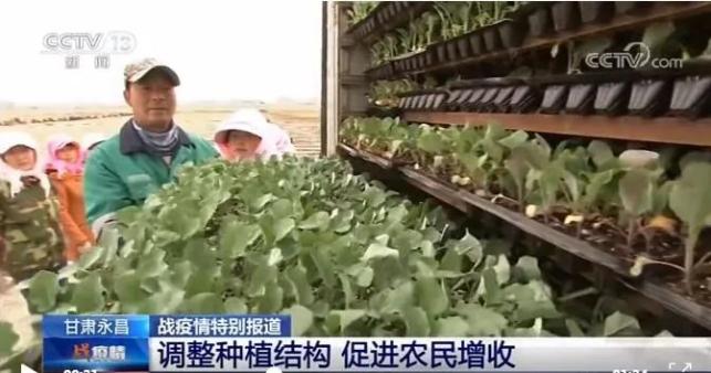 唱响金昌好声音 展现金昌新形象——今年金昌对外宣传工作成果丰硕