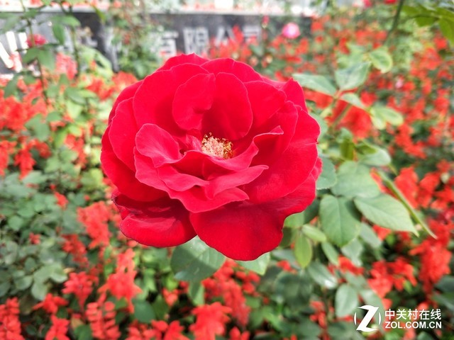 vivo X20Plus评测：有了它iPad更没市场