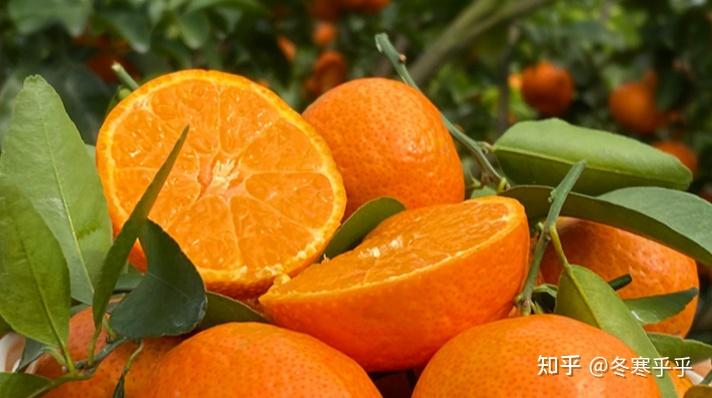 广东有哪些特色水果？
