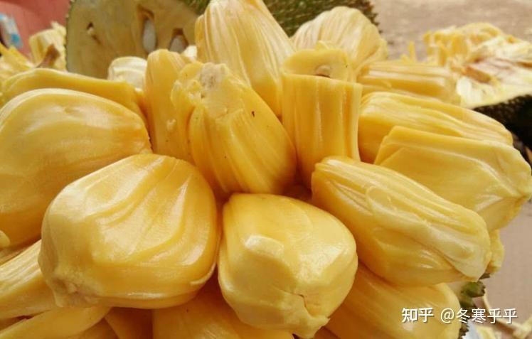 广东有哪些特色水果？
