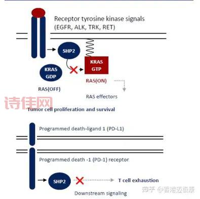 迈极康