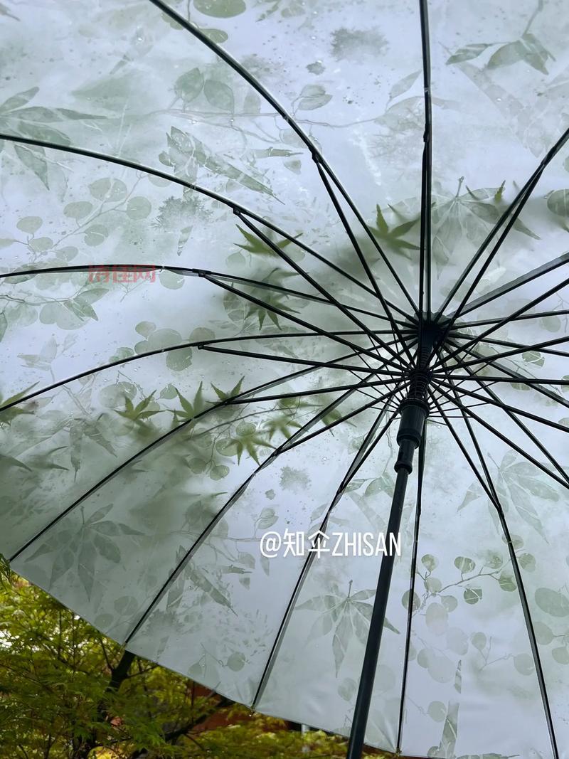 上万元的雨伞居然不防水！买这伞图个啥？