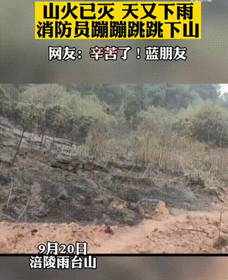 重庆涪陵山火被扑灭！官方通报起火原因查明！