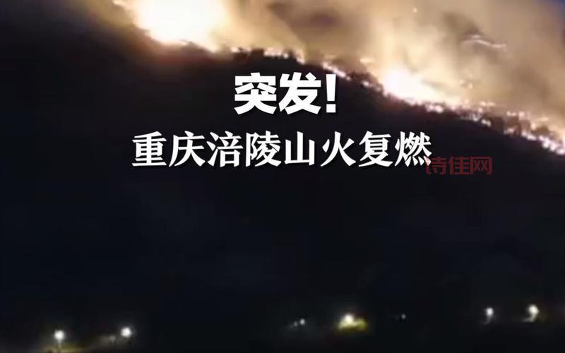 重庆涪陵山火被扑灭！官方通报起火原因查明！