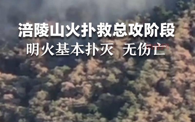 重庆涪陵山火被扑灭！官方通报起火原因查明！