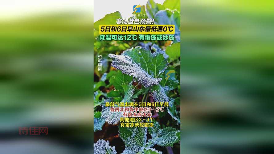 这场寒潮究竟有多厉害