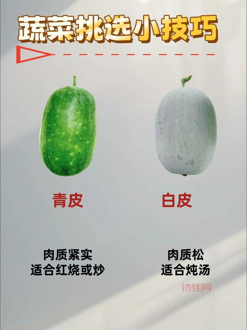 青岛秋菜怎么挑？老菜农教你几招辨别好坏！