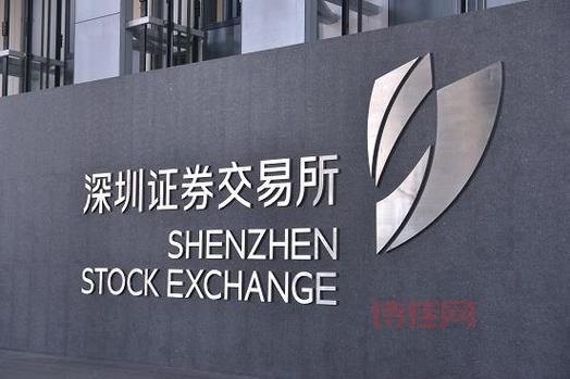 中国证券投资者保护基金公司