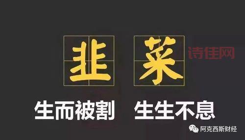 叶飞概念股