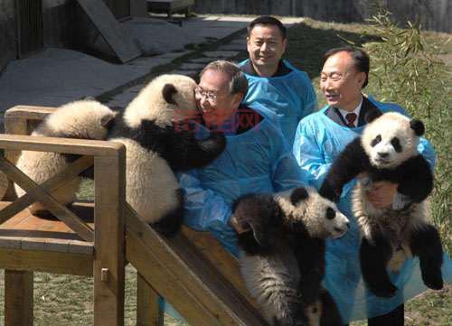 许仕仁