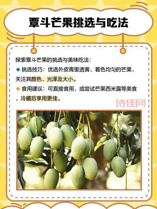 覃斗芒果好吃吗？味道、口感、营养价值测评！