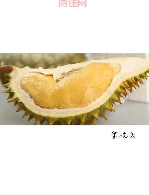 泰国榴莲大王招婿是真的吗？条件让人想不到！