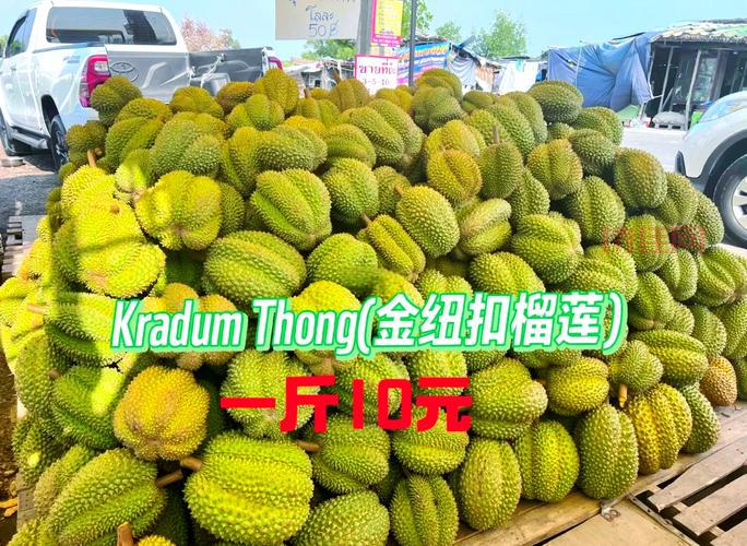 泰国榴莲大王招婿是真的吗？条件让人想不到！