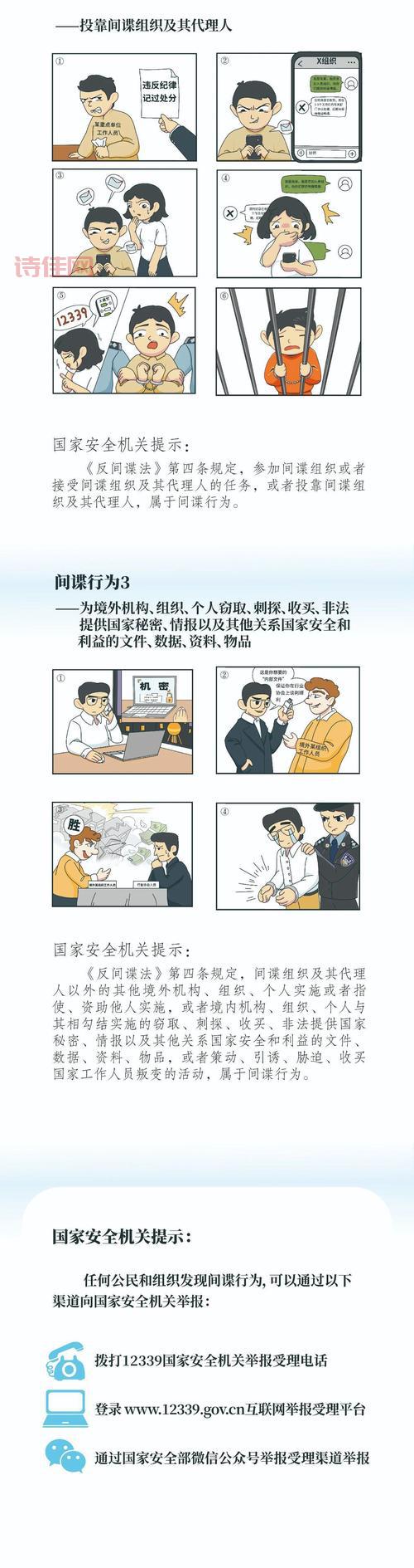 秦纲是间谍吗为什么