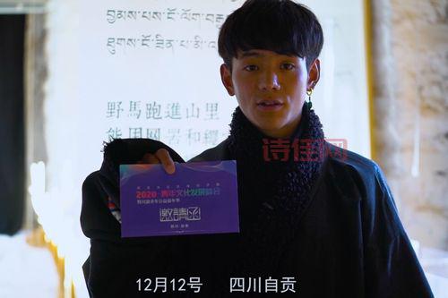 华春莹为丁真打call，这个藏族小伙凭什么火出圈？