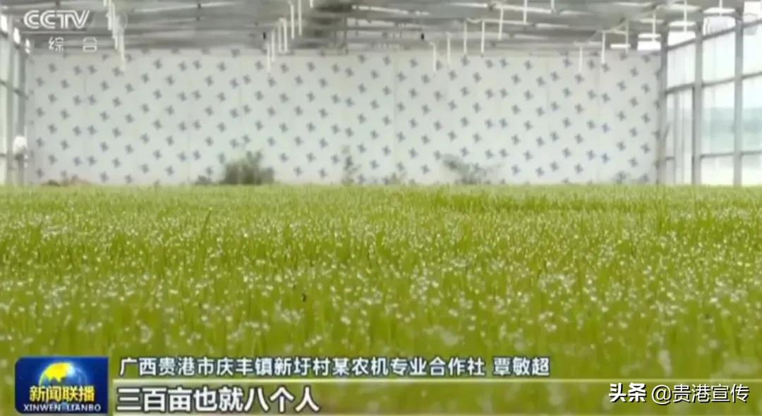 贵港多次被中央、自治区级主流媒体关注！