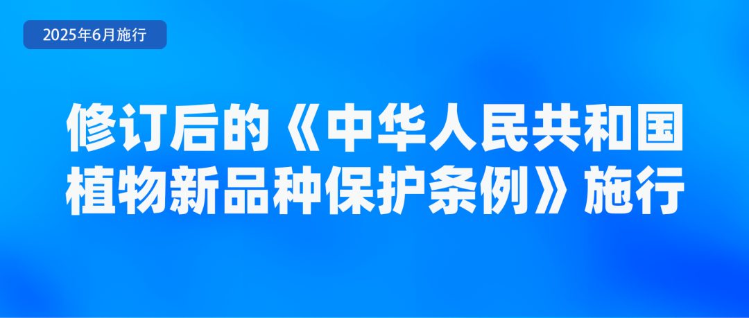 6月起，这些新规将影响你我生活→