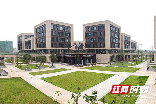 株洲市住建局：精雕细琢 绘就城市建设新画卷