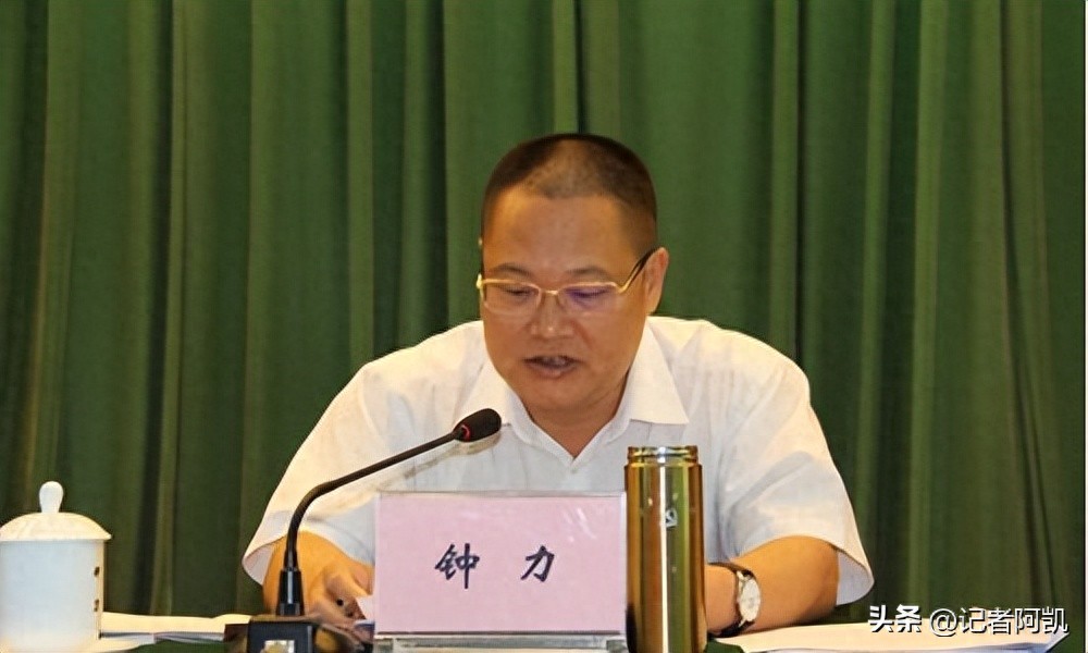 钟力落马，曾任广东湛江市委原常委、统战部部长，因违纪违法被查