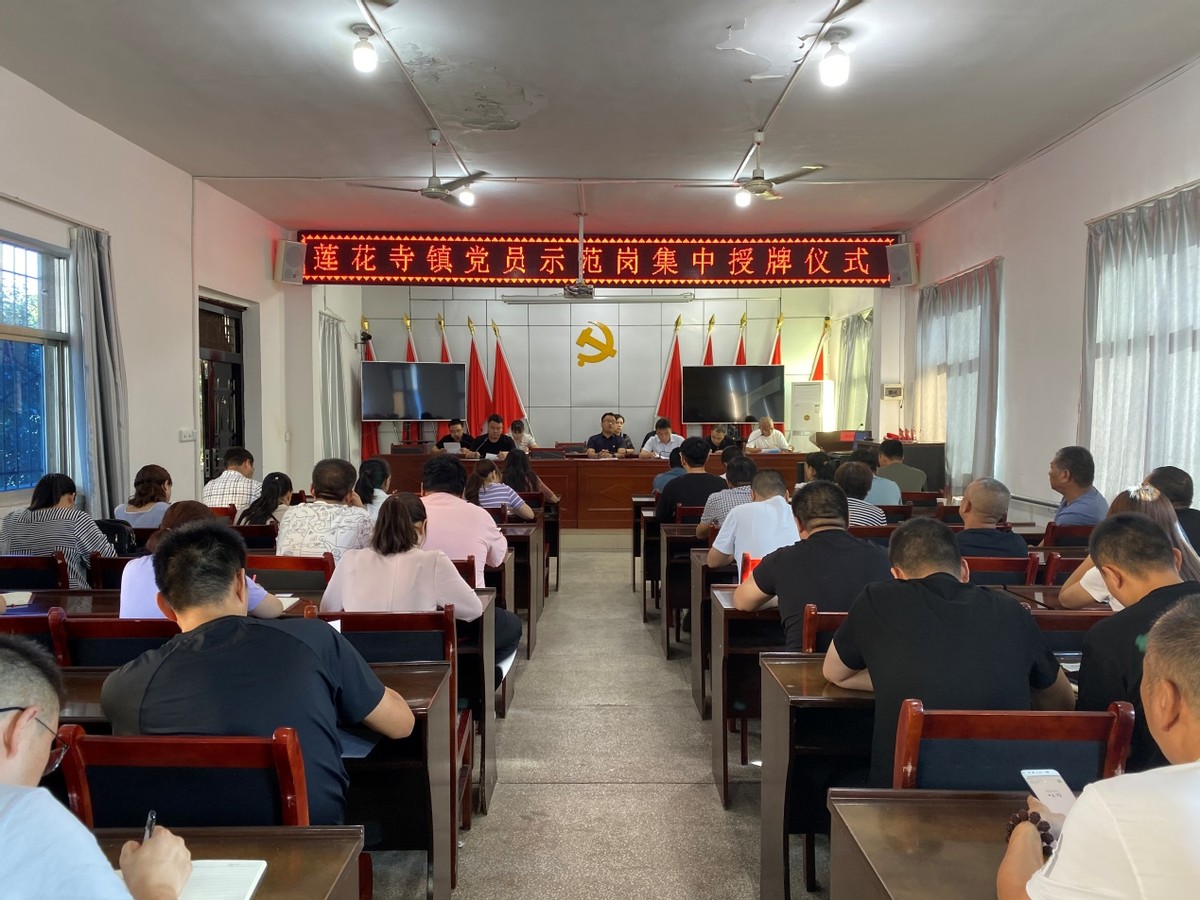 亮身份 树模范 创新绩——莲花寺镇举行“党员示范岗”集中授牌仪式
