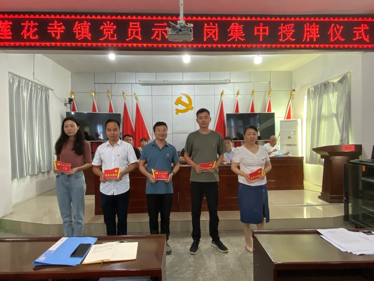 亮身份 树模范 创新绩——莲花寺镇举行“党员示范岗”集中授牌仪式