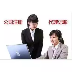 上海宝山区财务会计代账 经验丰富的会计做账 账目清晰