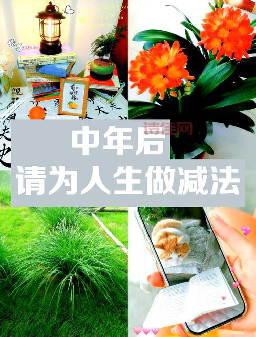 人到中年怎么改变自己？（这3个方法让你焕然一新！）