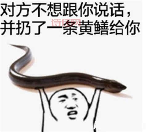 献身门事件最新进展，相关人员是否回应？