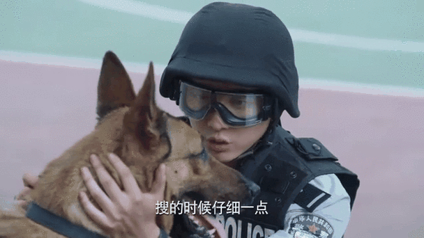 上班警犬眼馋烤肠，这眼神谁顶得住啊！