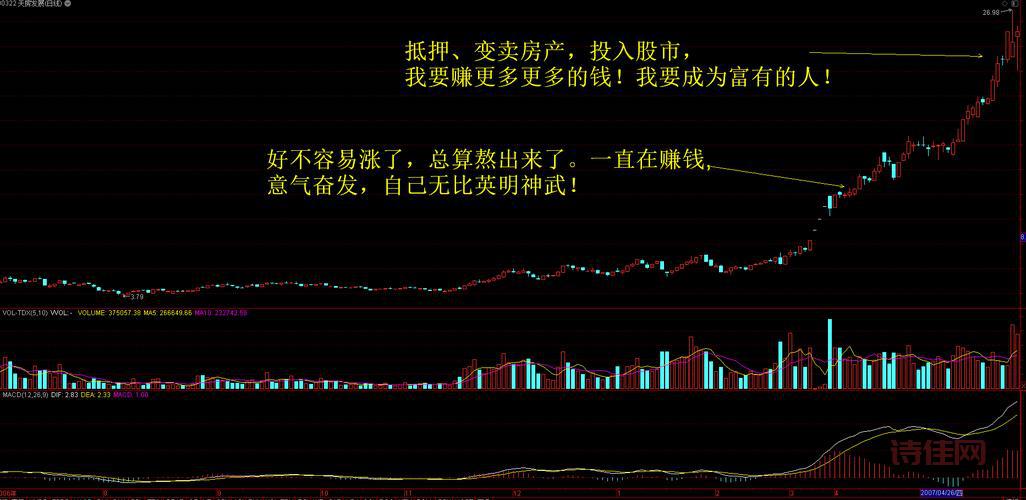 长来财富怎么选？新手入门攻略看这篇！