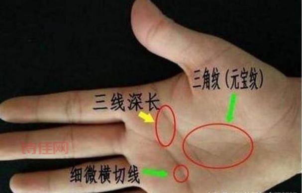 长来财富怎么选？新手入门攻略看这篇！